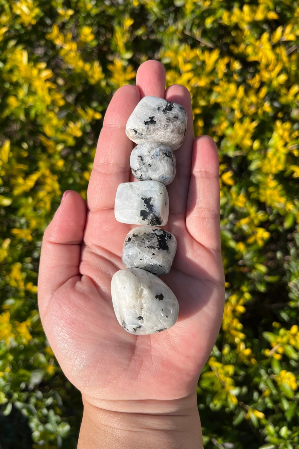 Moonstone Tourmaline Tumbles