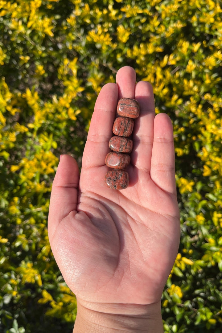 Red Jasper Tumbles