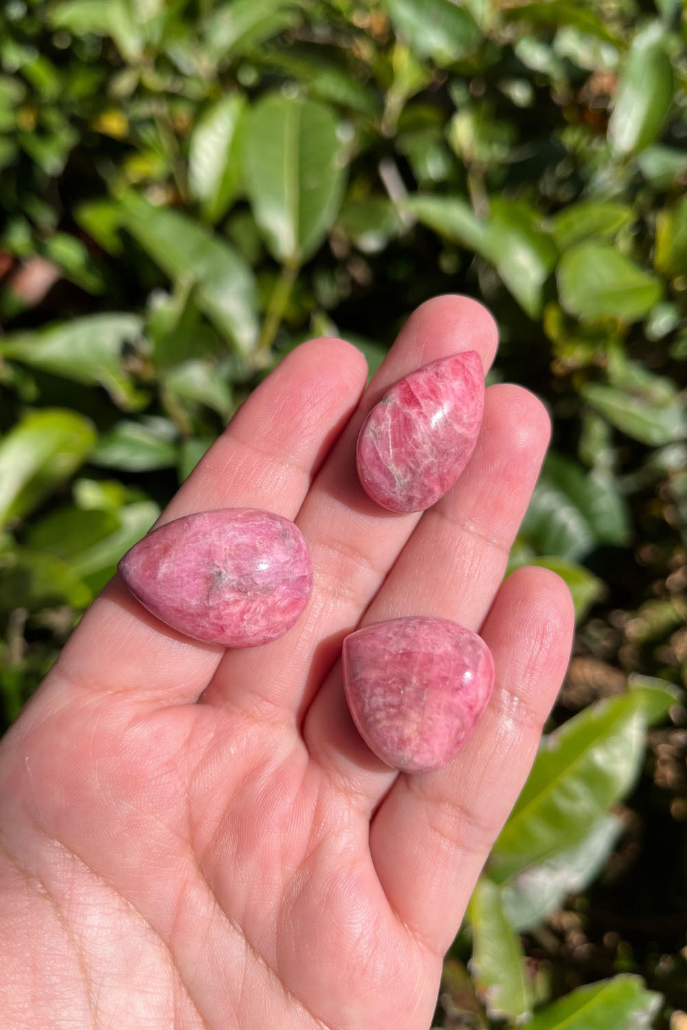 Rhodonite Cabochon