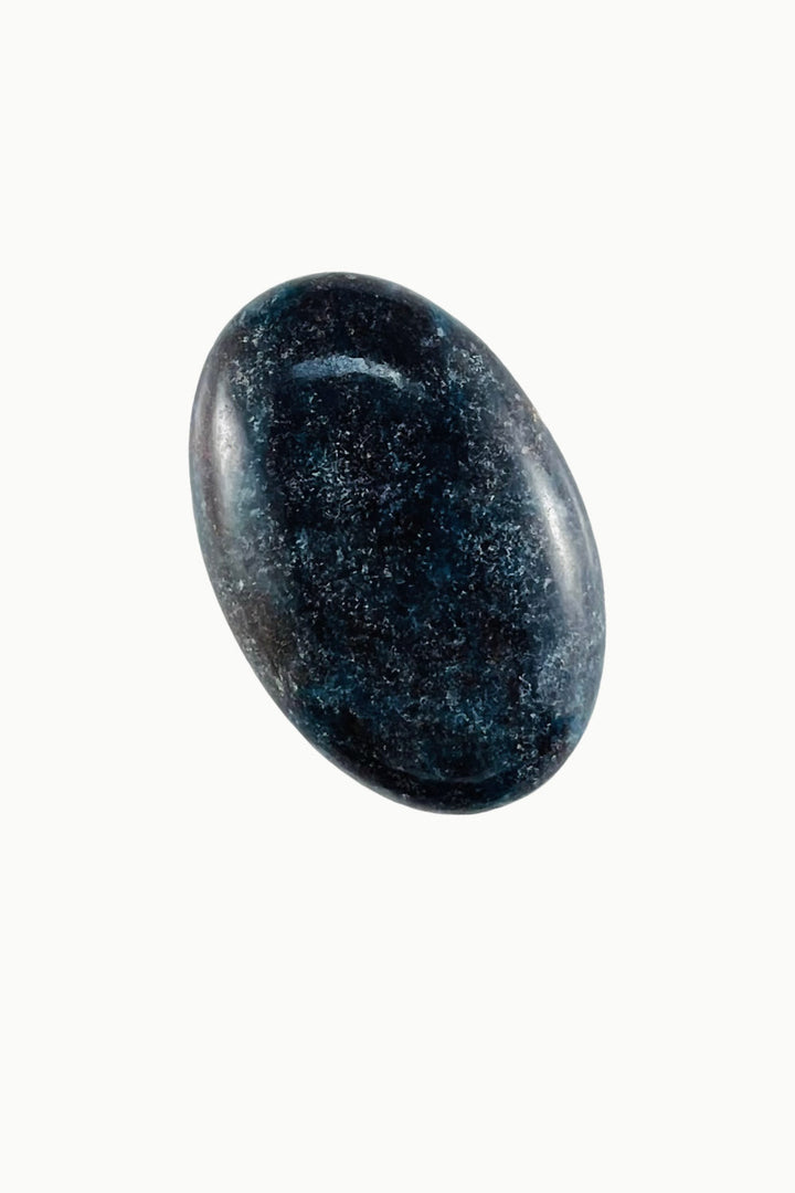 Ruby in Kyanite Palm Stone
