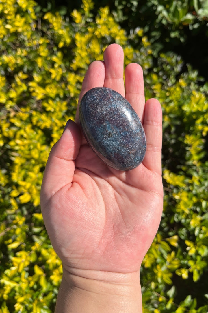 Ruby in Kyanite Palm Stone