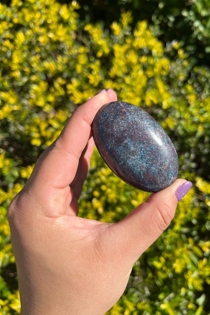 Ruby in Kyanite Palm Stone