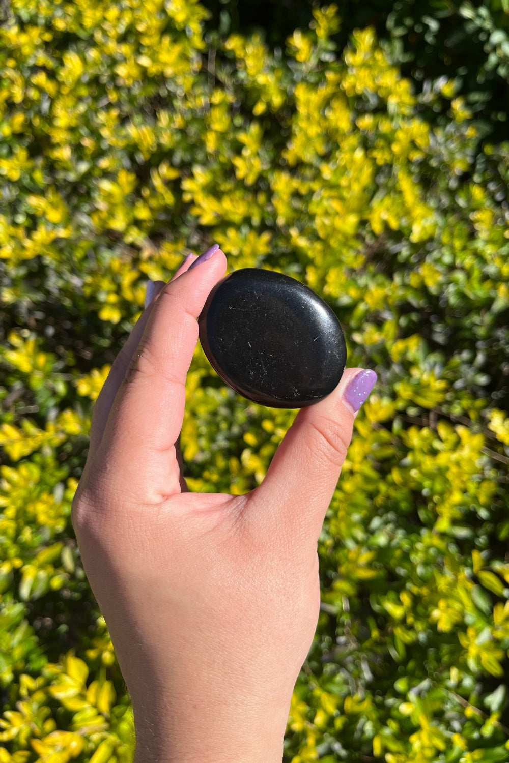 Shungite Worry Stone