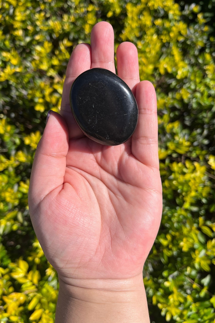 Shungite Worry Stone