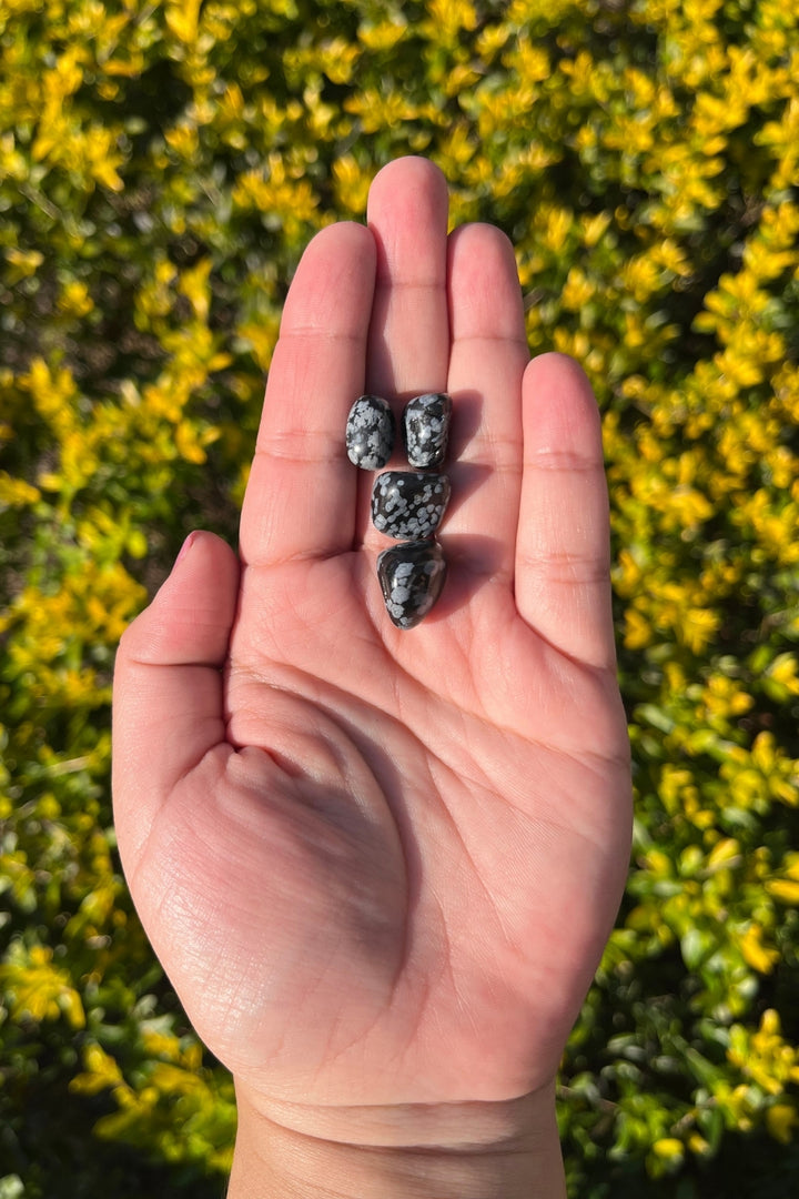 Snowflake Obsidian Tumbles