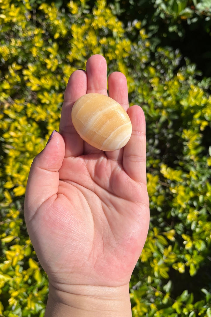 Yellow Aragonite Palm Stone