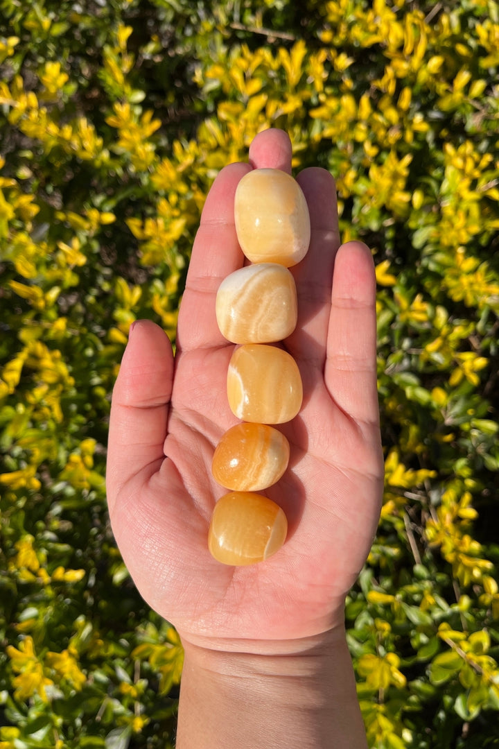 Yellow Aragonite Tumbles