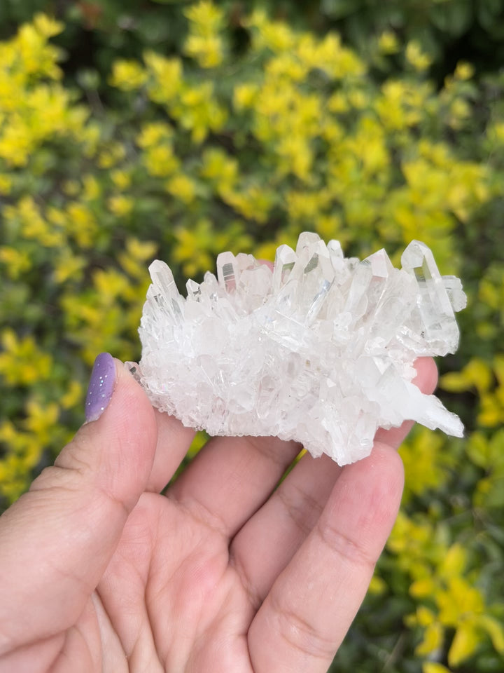 Himalayan Samadhi Lemurian Quartz Cluster #9
