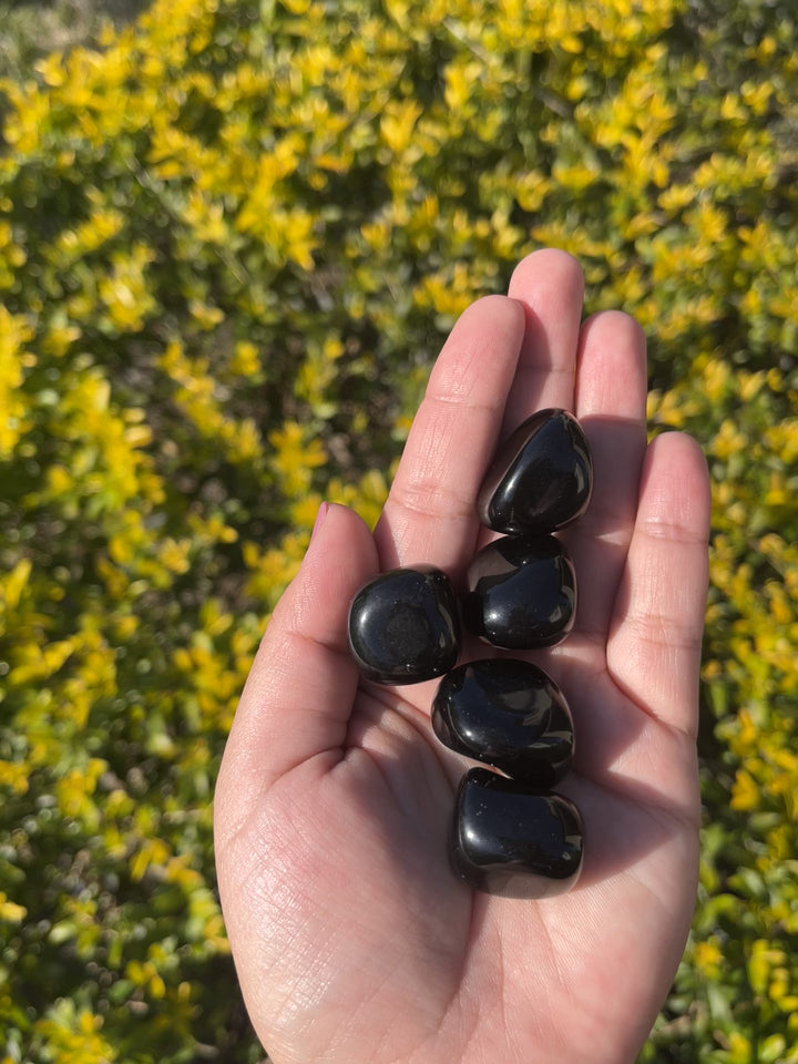Black Obsidian Tumbles