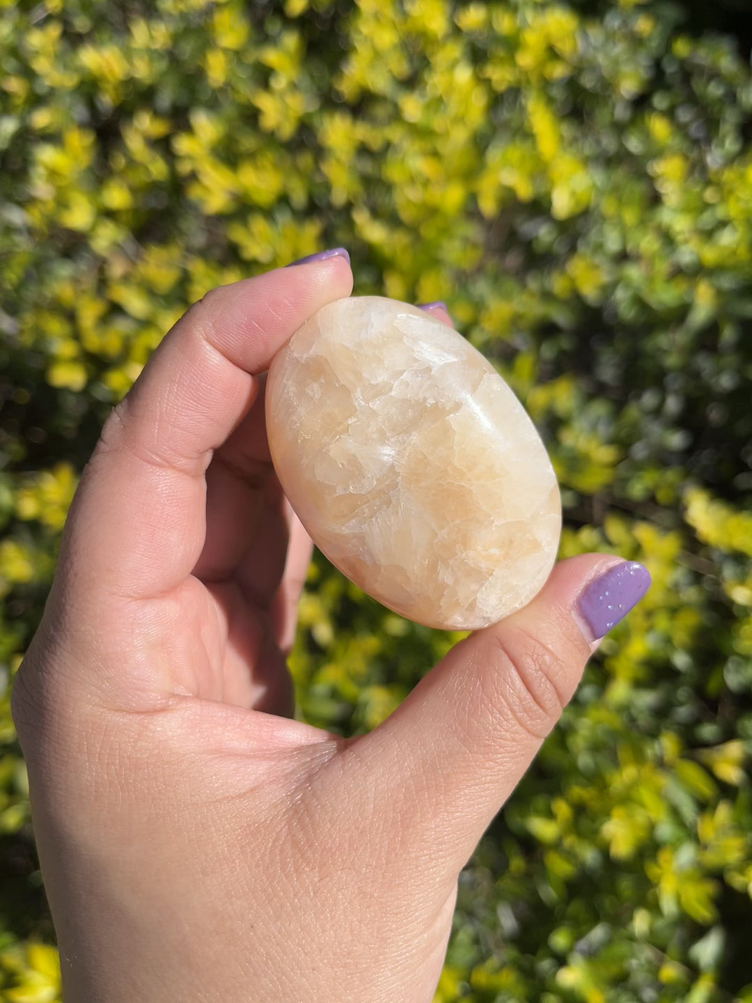 Stilbite Palm Stone