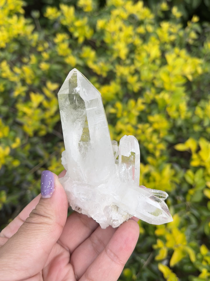 Himalayan Samadhi Lemurian Quartz Cluster #1