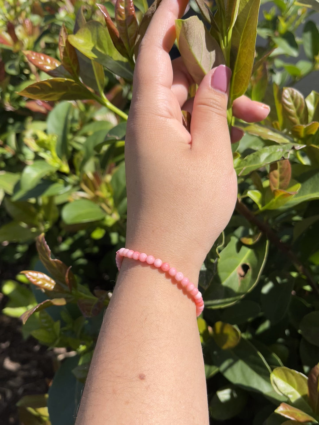 Sivalya Pink Coral Gemstone Beaded Bracelet