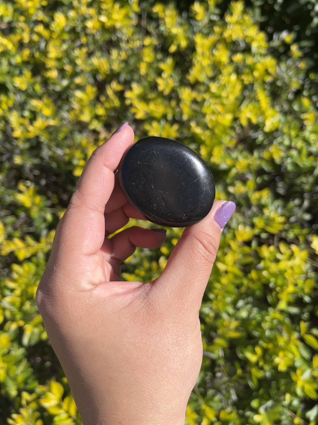 Shungite Worry Stone