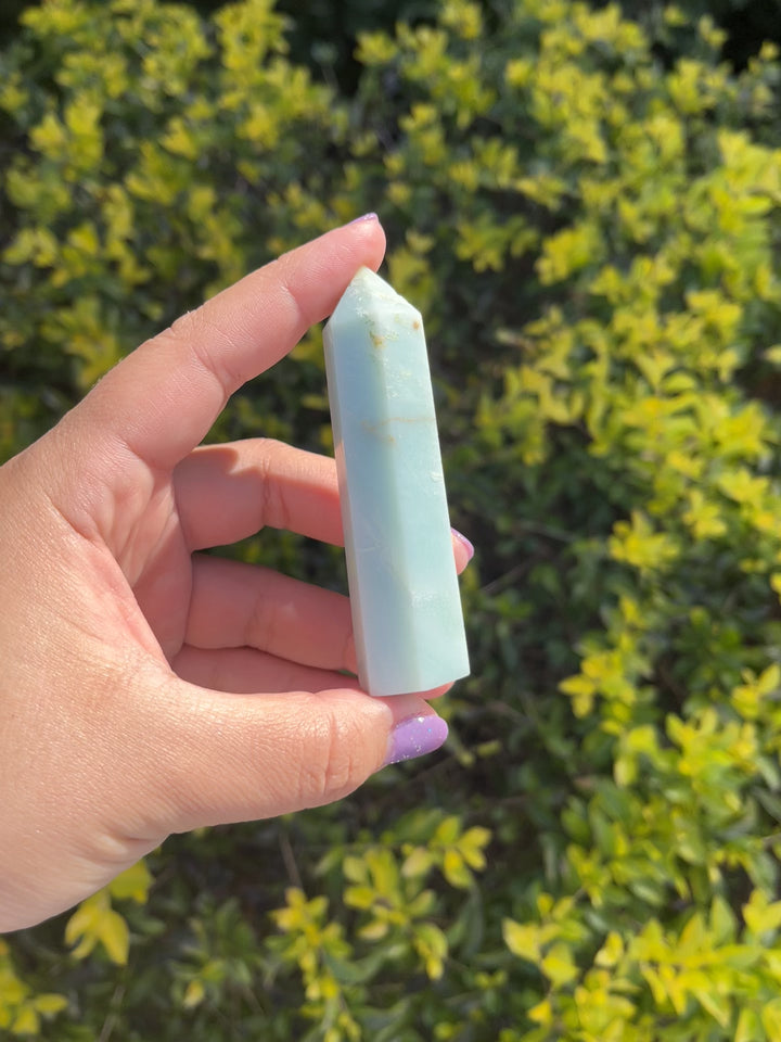 Caribbean Calcite Point Tower #1