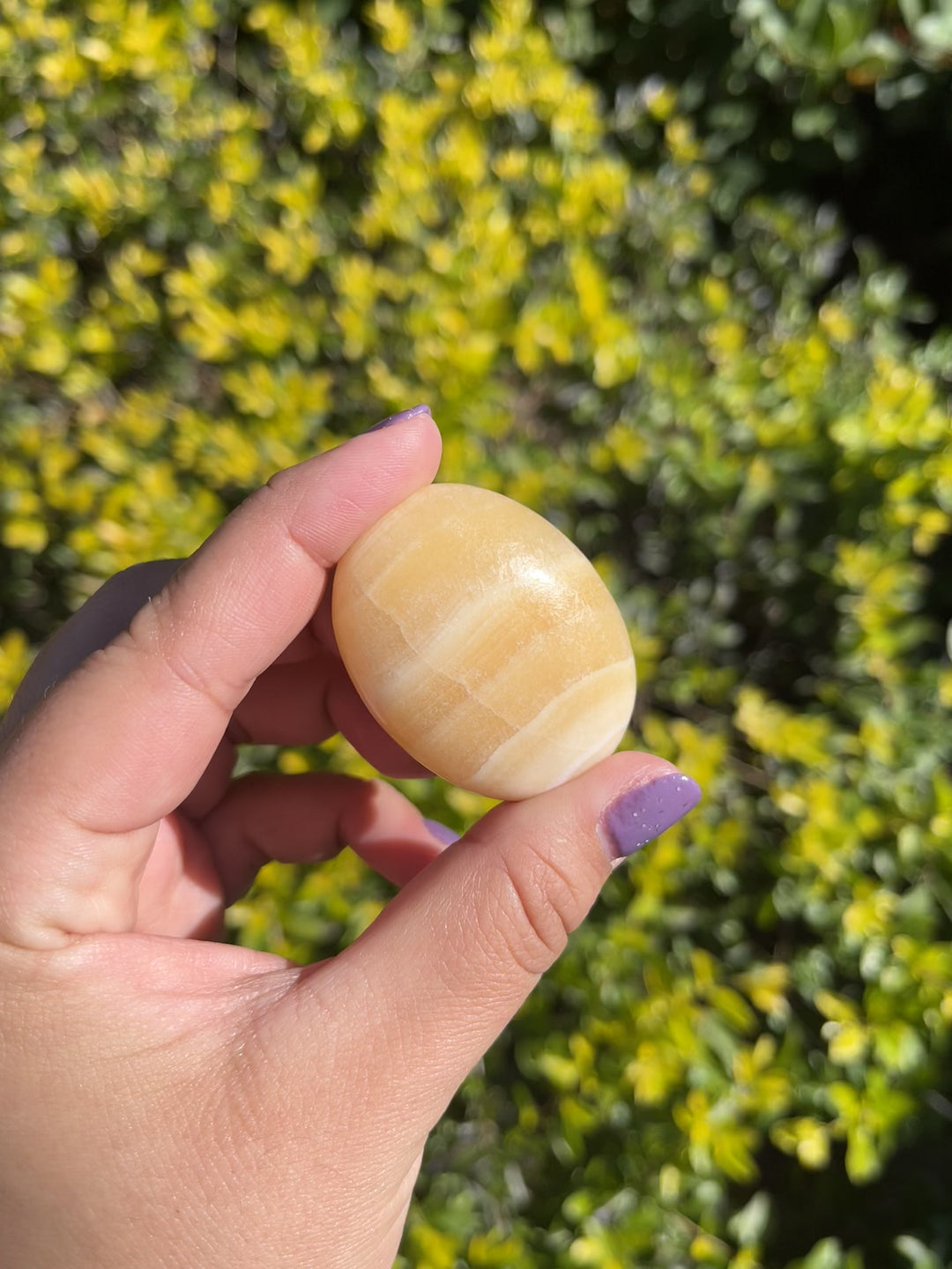 Yellow Aragonite Palm Stone