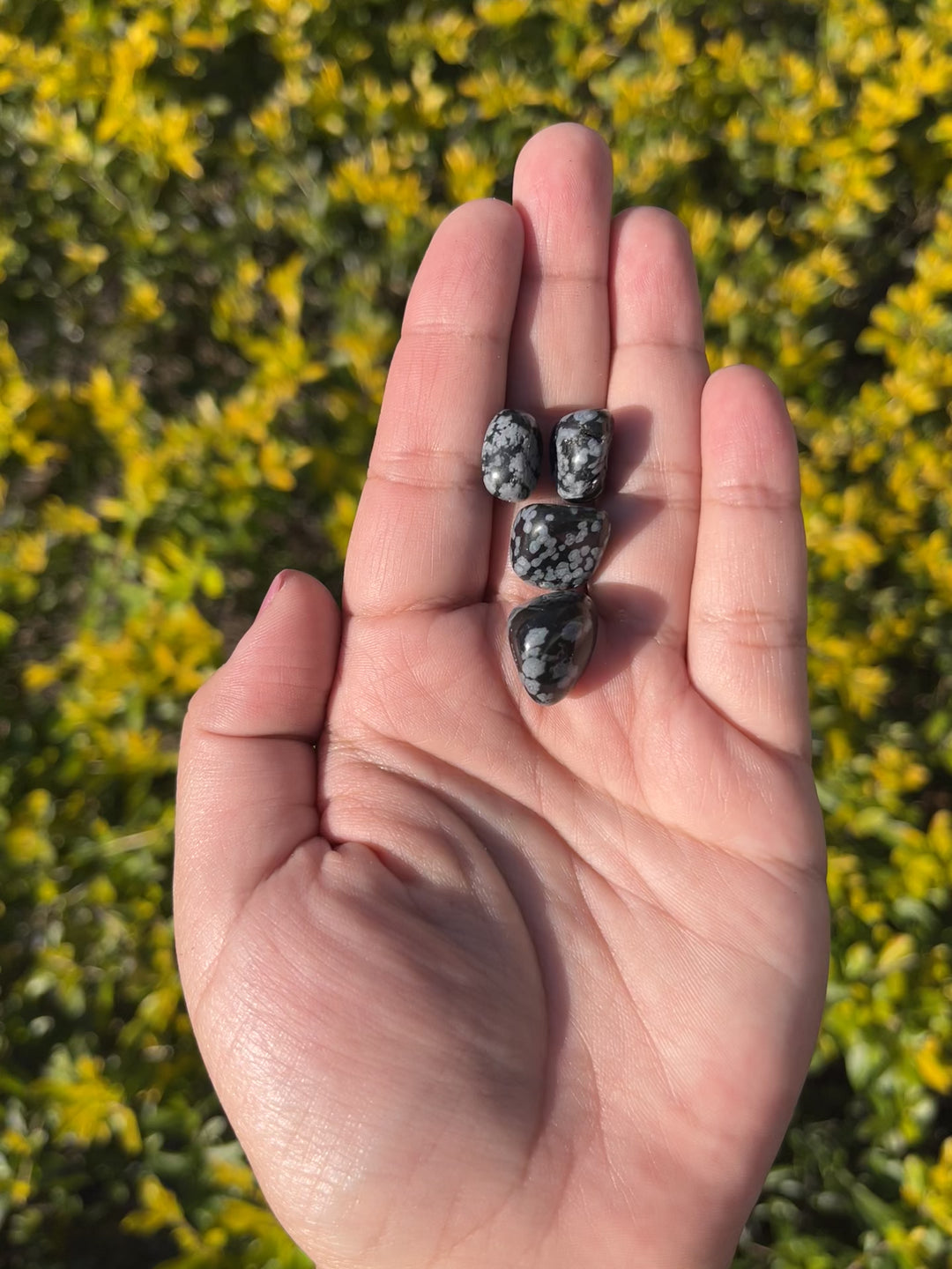 Snowflake Obsidian Tumbles