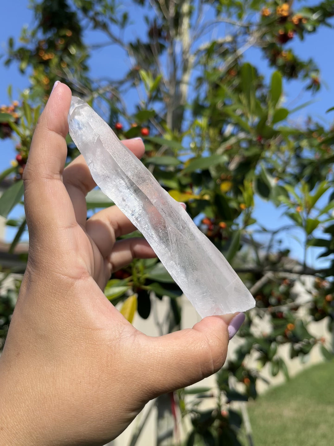 Natural Lemurian Seed Quartz Crystal Point #3