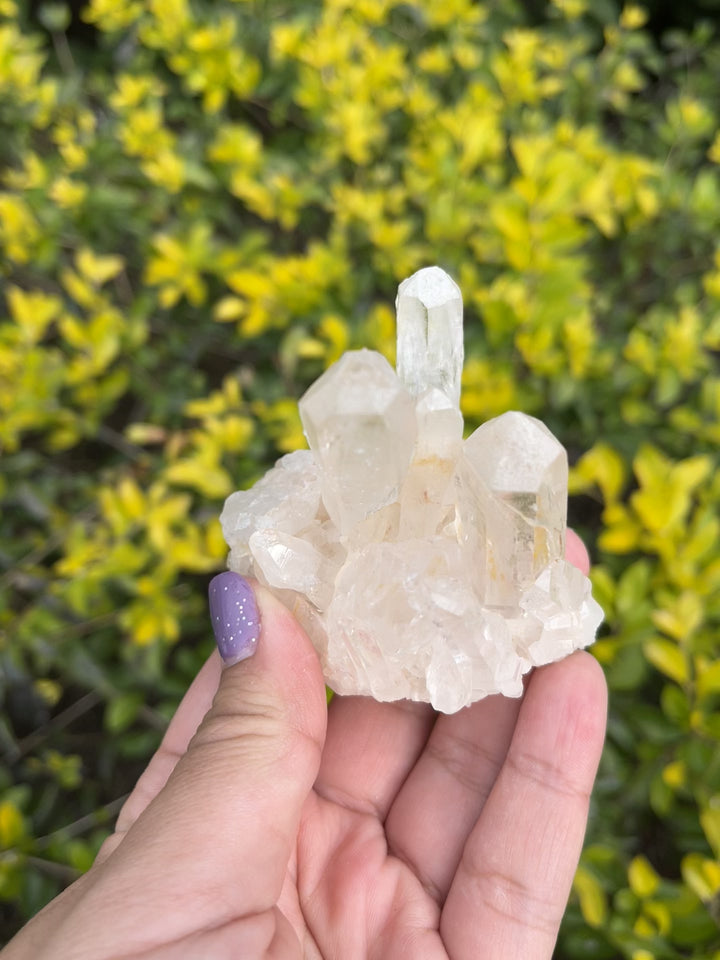 Himalayan Pink Samadhi Quartz Cluster #6