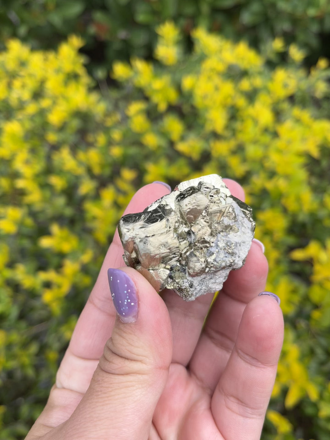 Pyrite and Quartz Crystal Cluster in Matrix #3