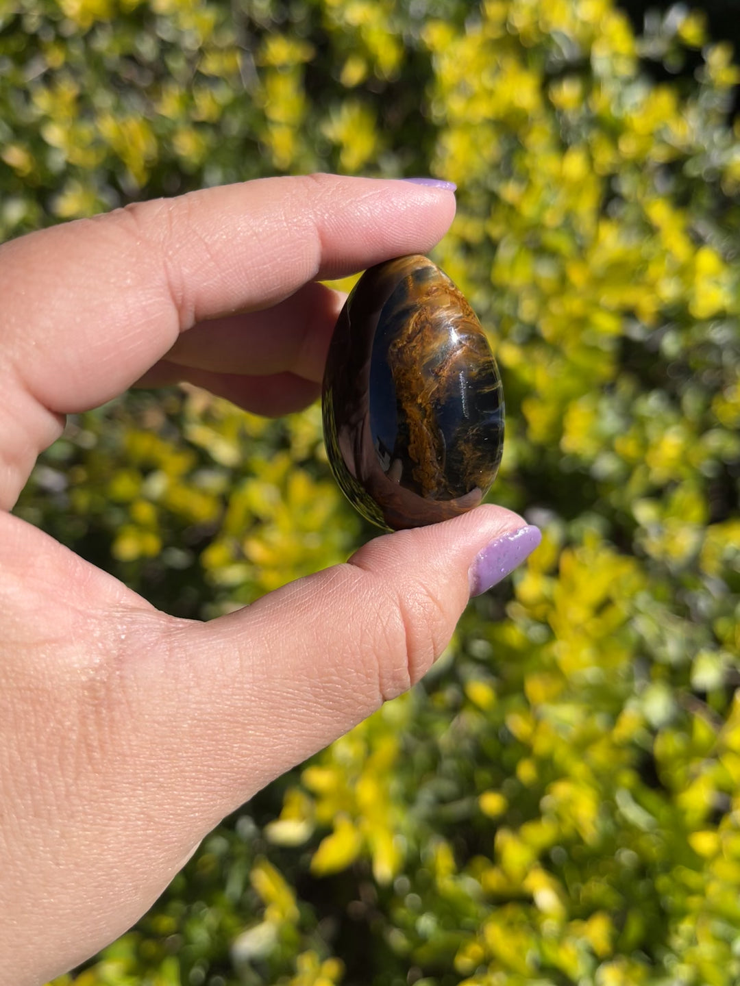 Pietersite Egg #1 Rare Find