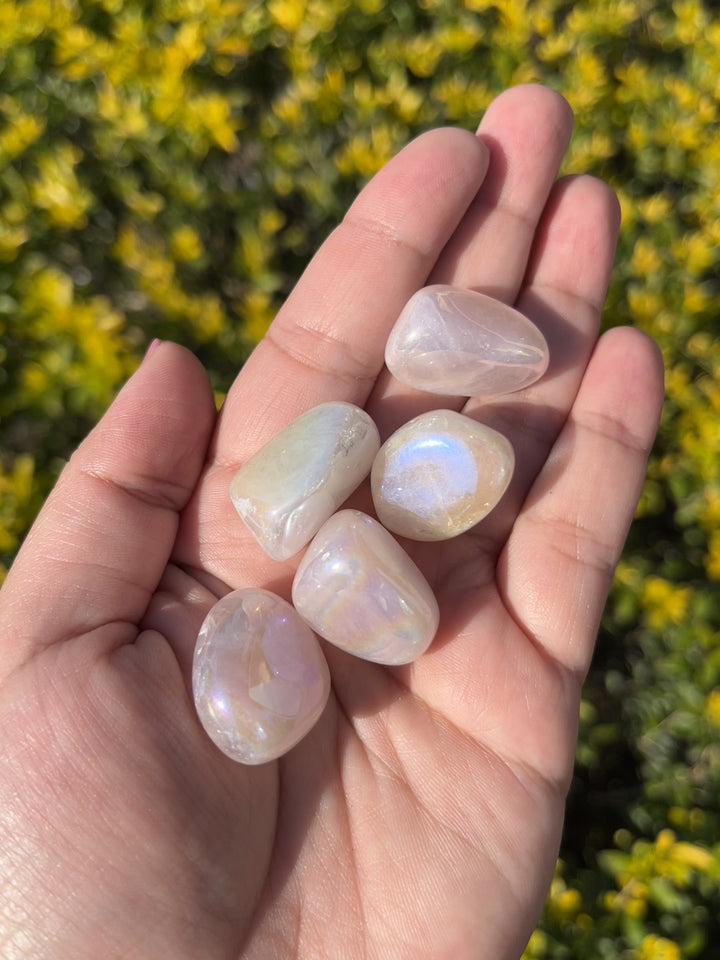 Angel Aura Rose Quartz Tumbles