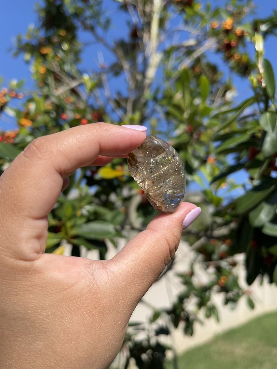 Lodolite Quartz Freeform with Rutile Inclusions