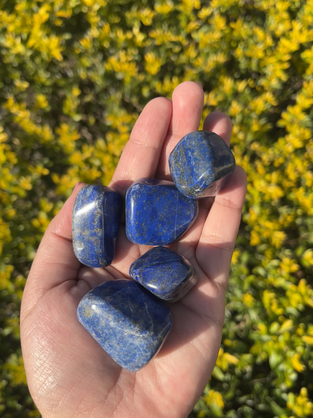 Lapis Lazuli Tumbles
