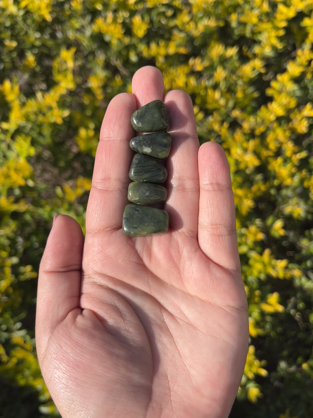 Moss Agate Tumbles