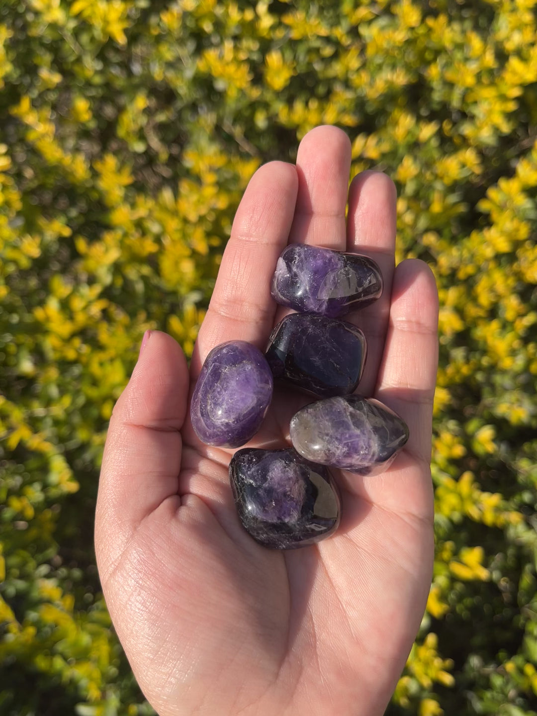 Amethyst Tumbles