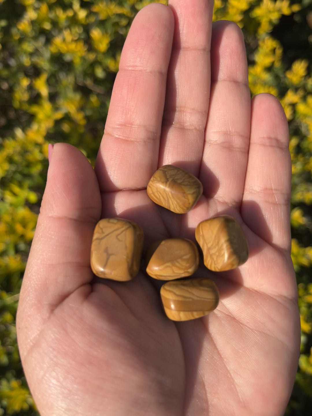 Picture Jasper Tumbles