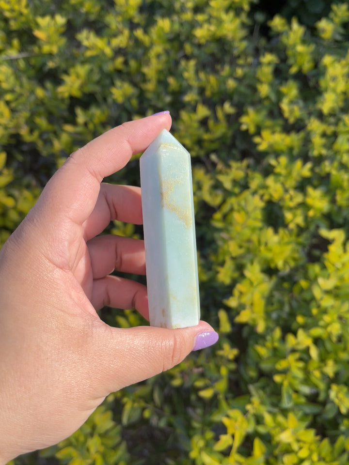 Caribbean Calcite Point Tower #2