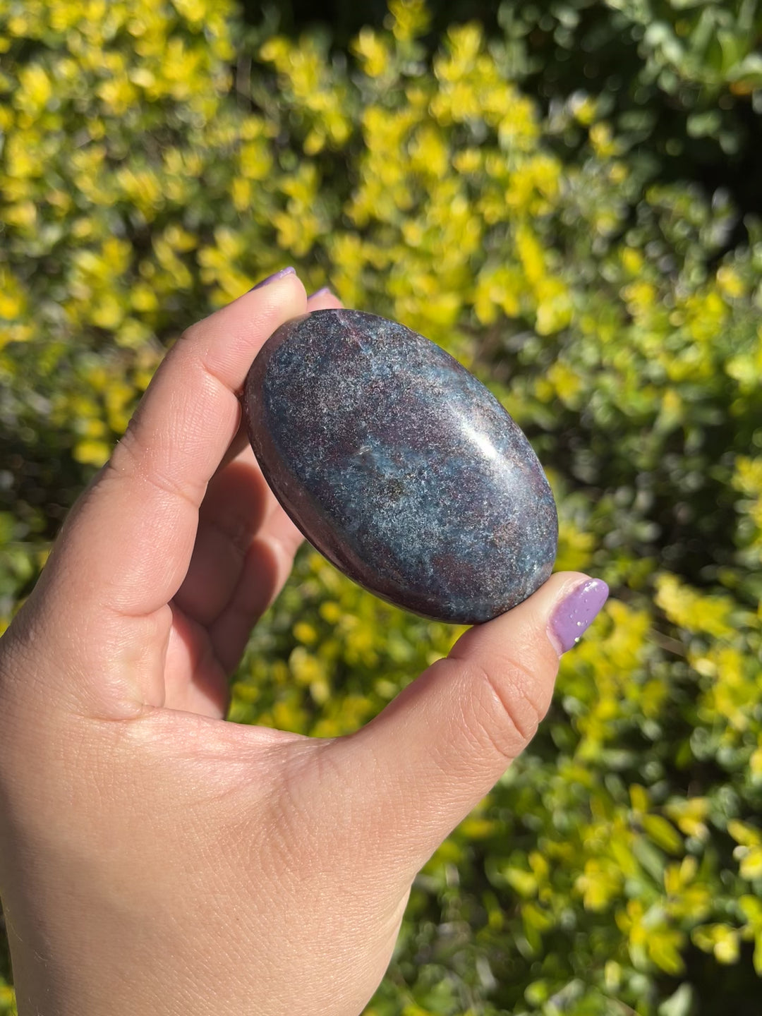 Ruby in Kyanite Palm Stone