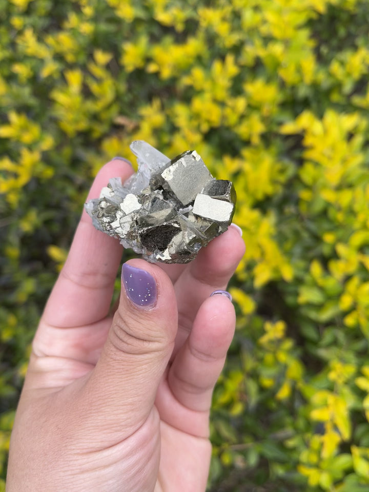 Pyrite and Quartz Crystal Cluster in Matrix #1