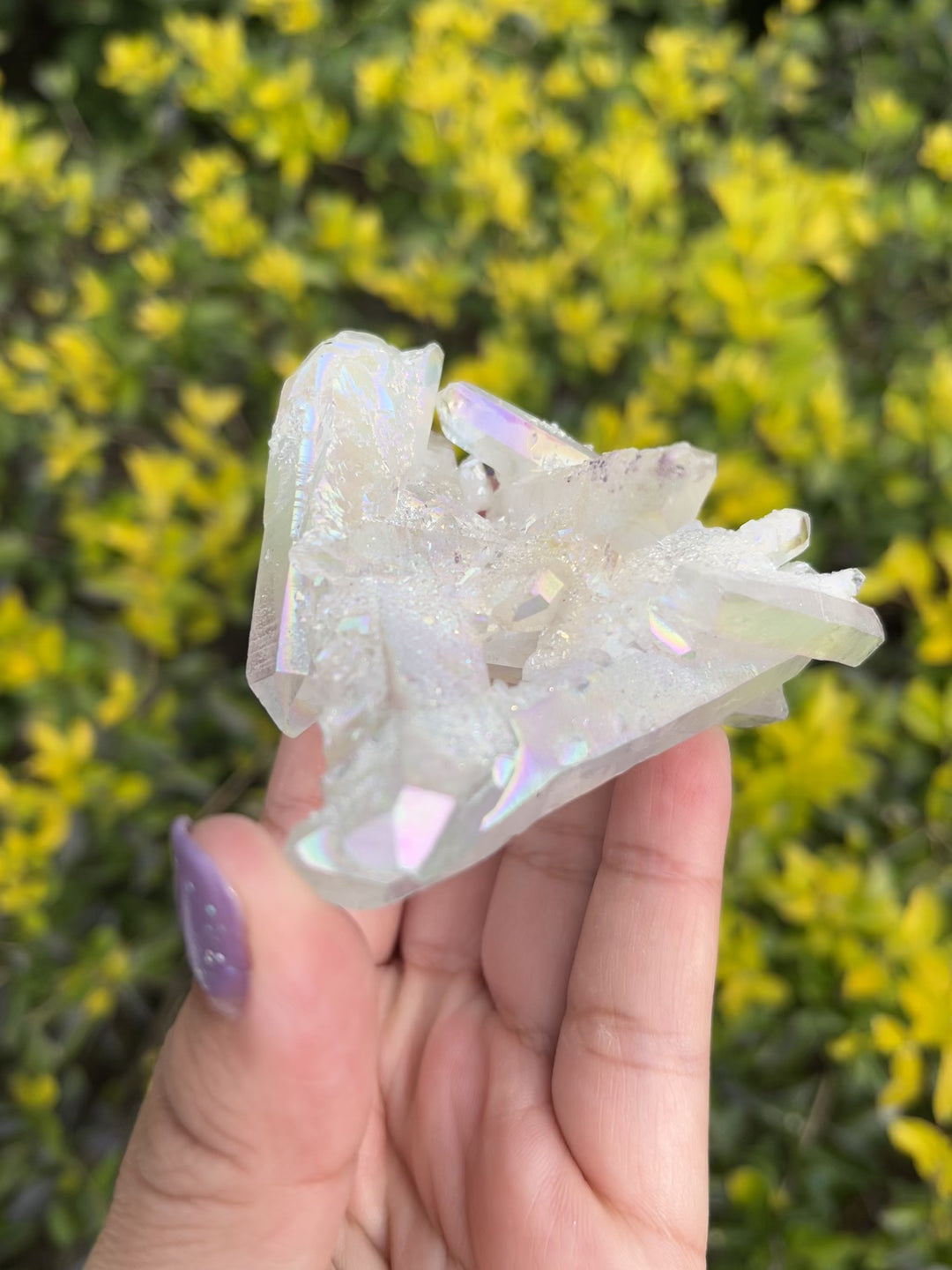 Himalayan Samadhi Quartz Cluster #3