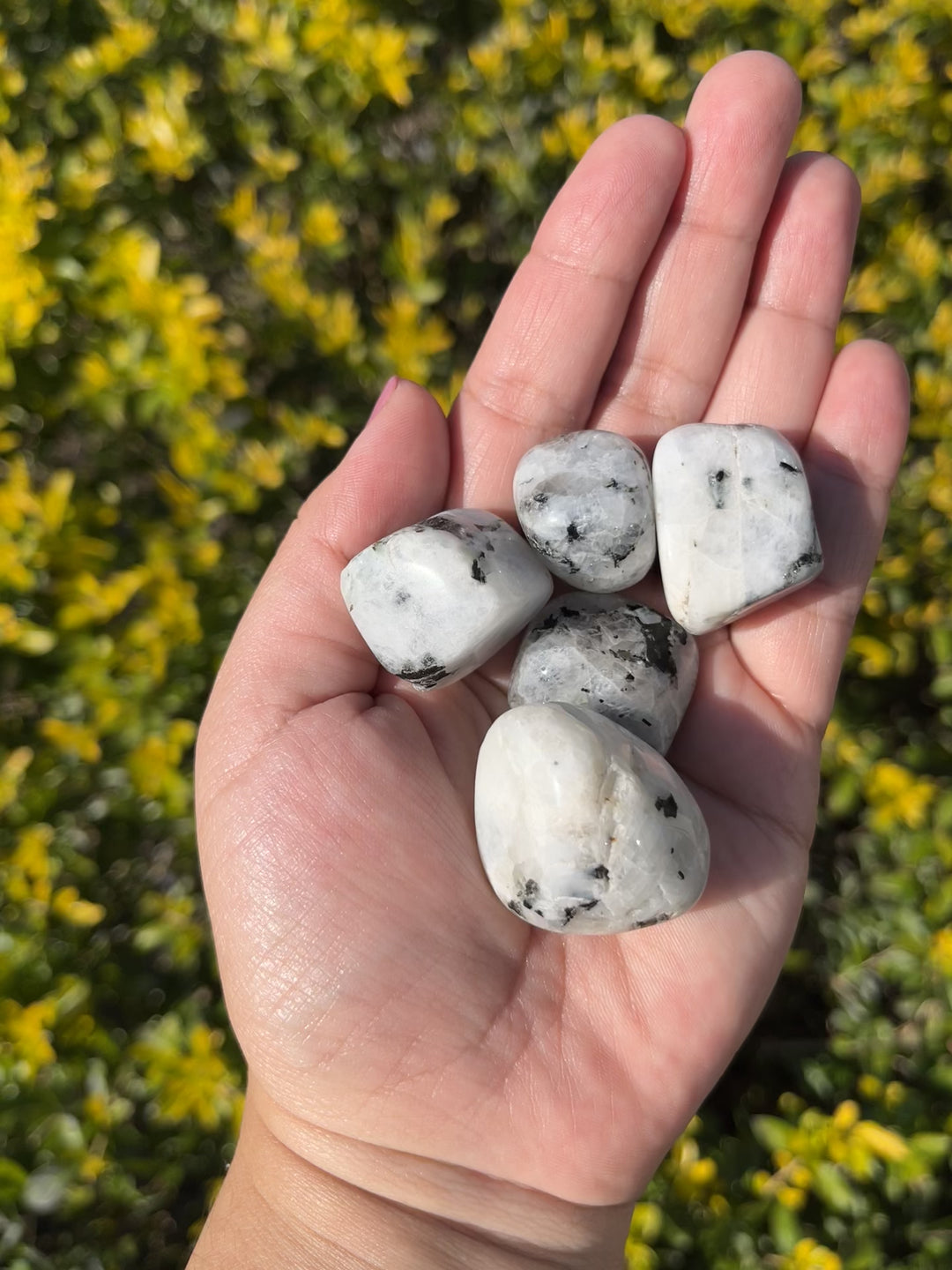 Moonstone Tourmaline Tumbles