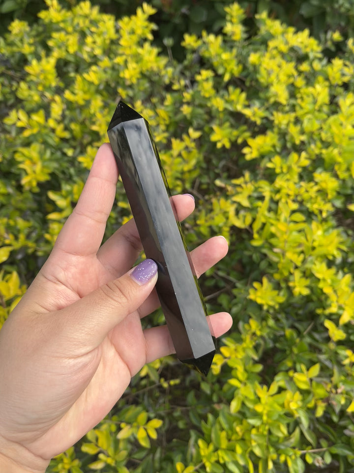 Double Terminated Black Onyx Point