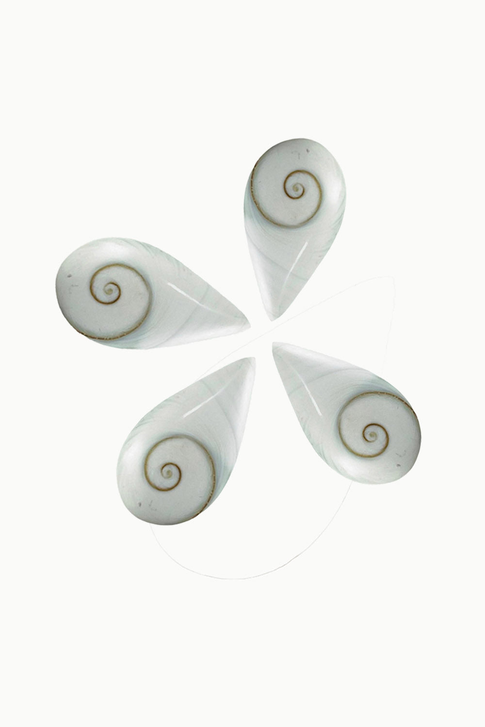 Shiva Eye Shell Teardrop
