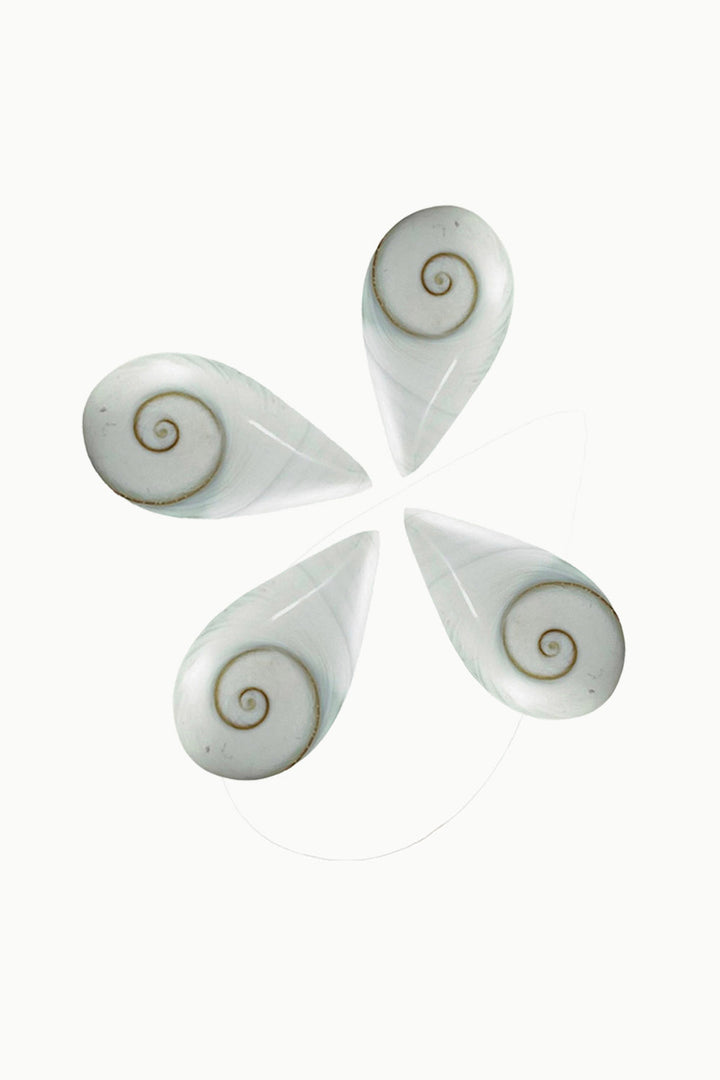 Shiva Eye Shell Teardrop