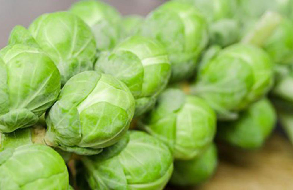 3 Easy Recipes to Incorporate Brussel Sprouts in your Salad