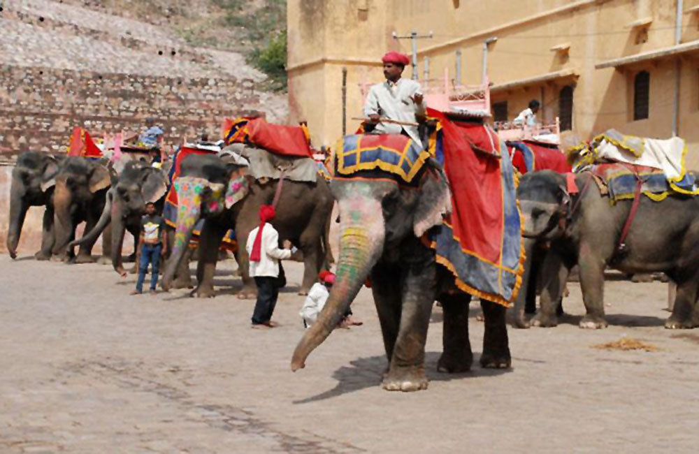 Travel Dairy  ❖ Jaipur
