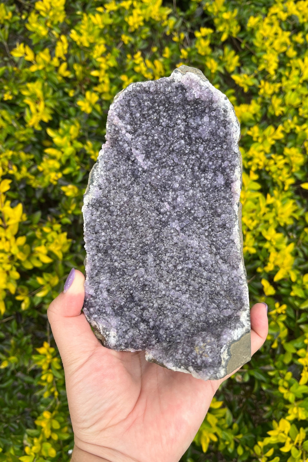 Amethyst Geode Cathedral