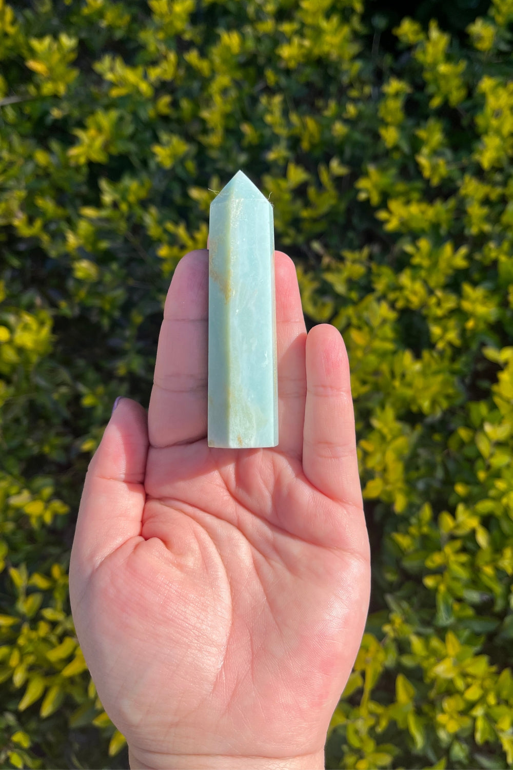 Caribbean Calcite Point Tower #2