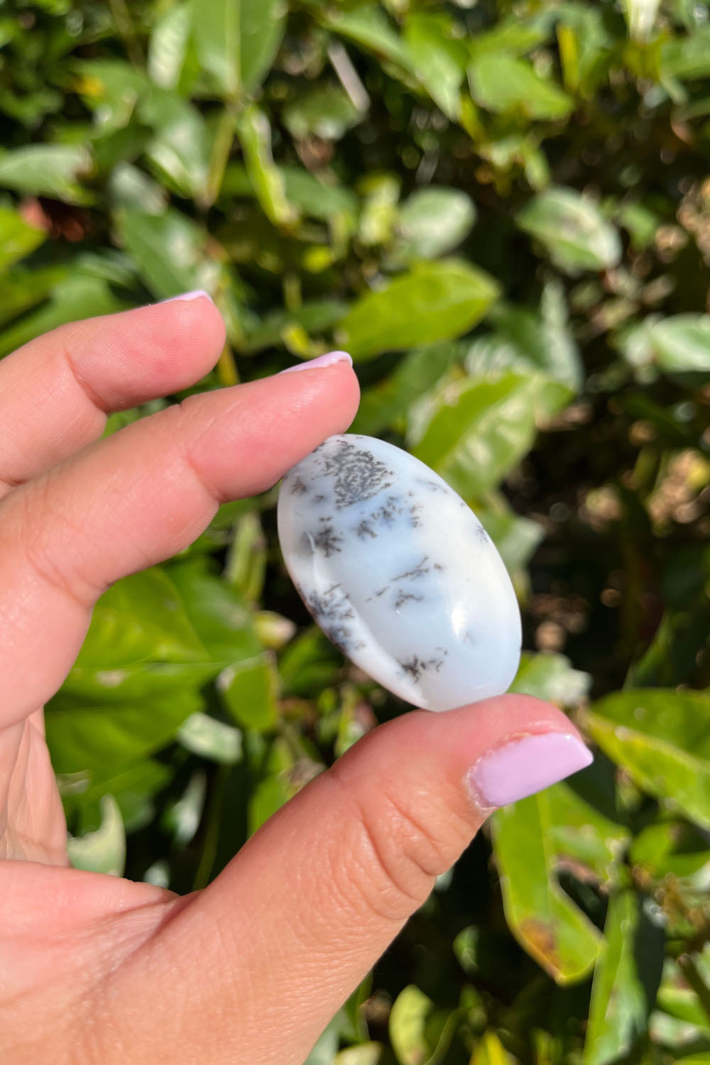 Dendritic Opal Cabochon