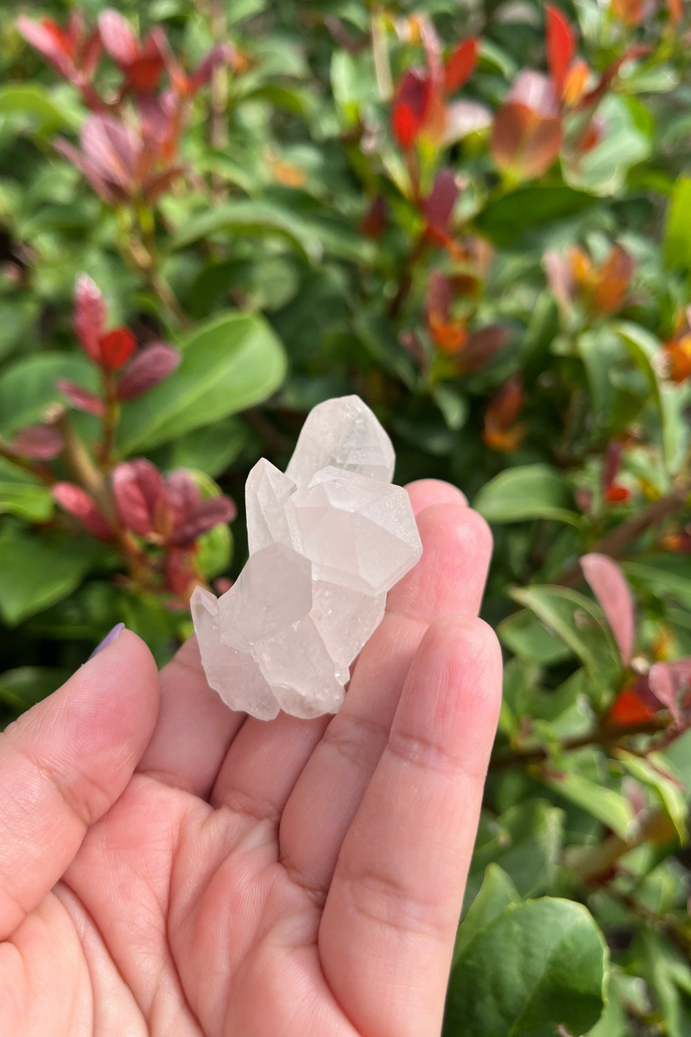 Himalayan Samadhi Quartz Cluster #2