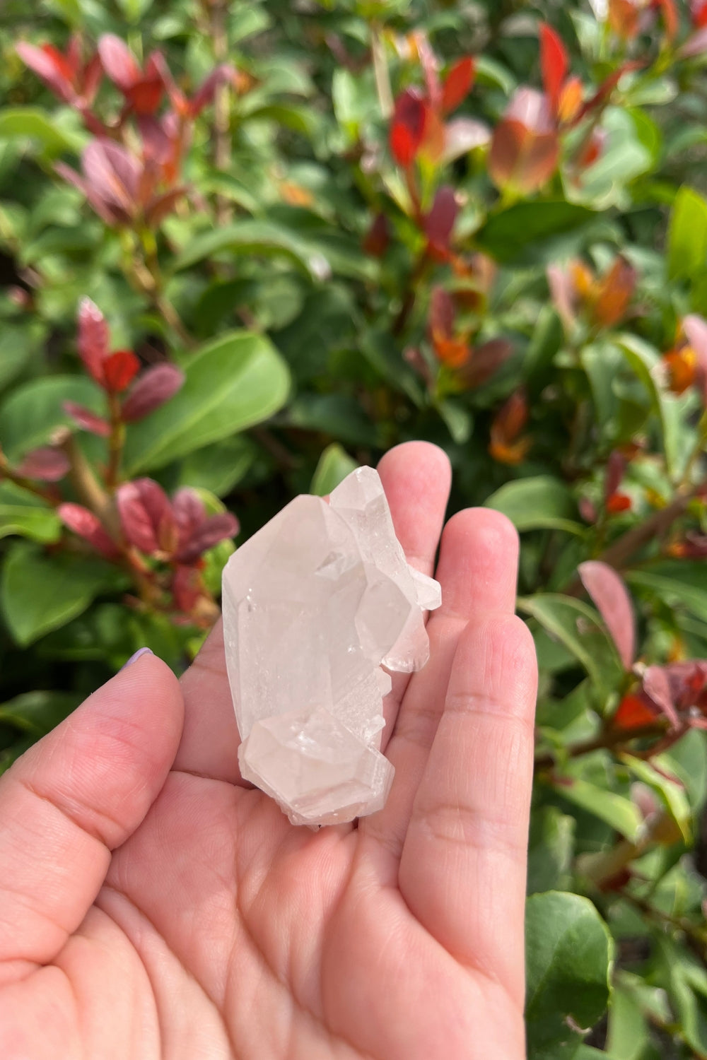 Himalayan Samadhi Quartz Cluster #2