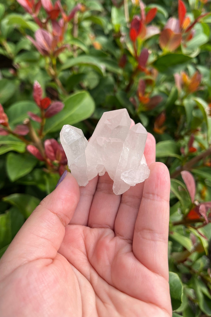 Himalayan Samadhi Quartz Cluster #2