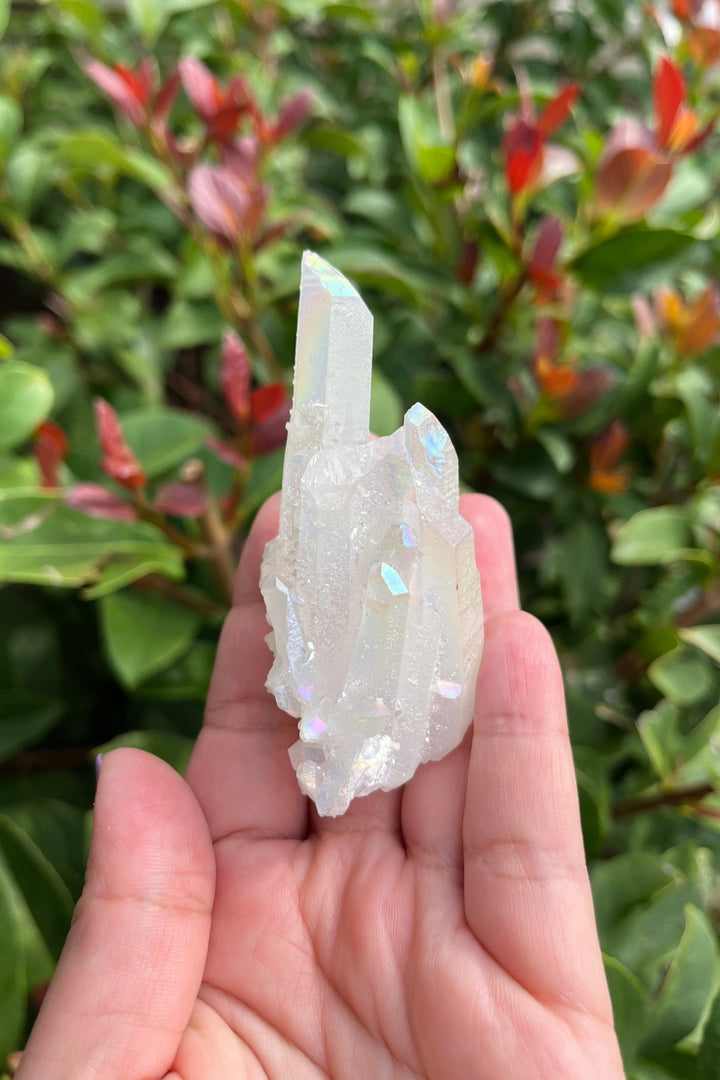 Himalayan Samadhi Quartz Cluster #4