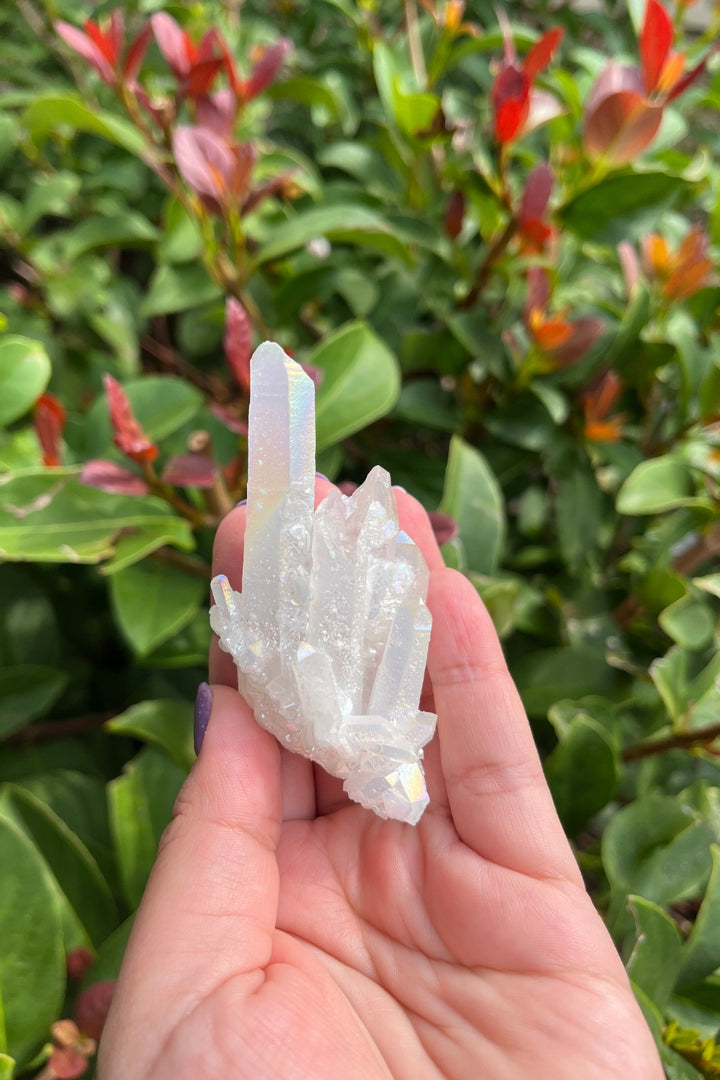 Himalayan Samadhi Quartz Cluster #4