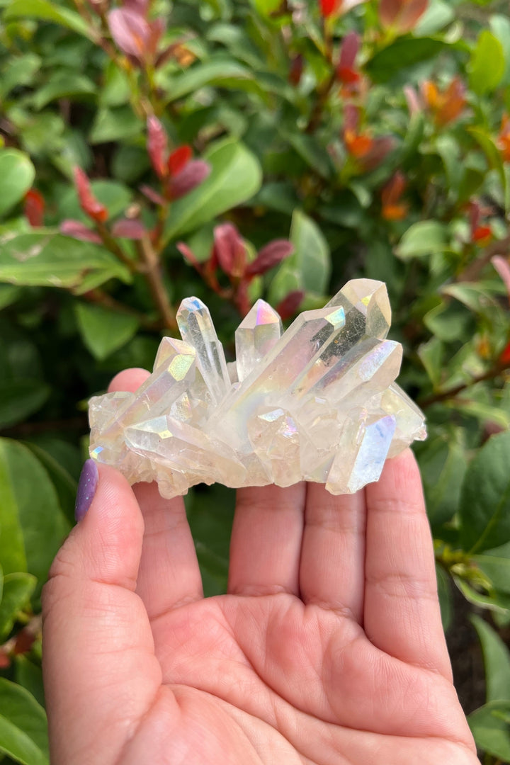 Himalayan Samadhi Quartz Cluster #5