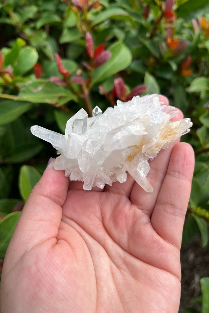 Himalayan Samadhi Quartz Cluster #7